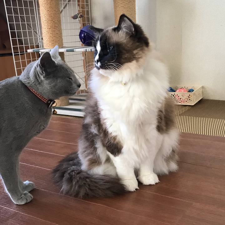 B7c3b30f 5b07 492c 927f 2819156ba05b 1518965153373