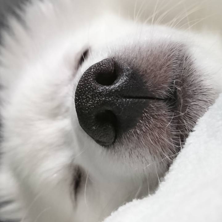 B7c3cb5a 619d 4d2c 8660 2d358026e283 1553345220173