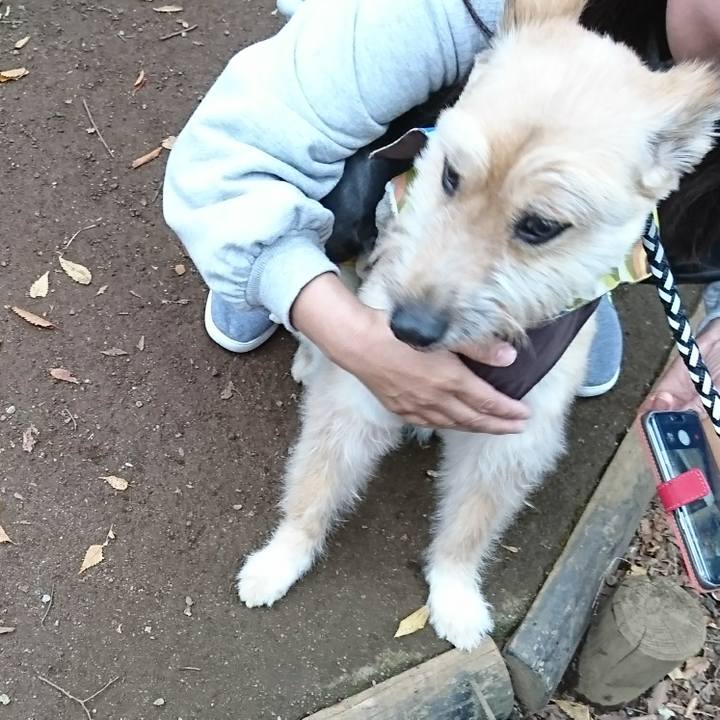 B7c3e392 0ffc 4a05 a412 643c378cd06c 1509227568899