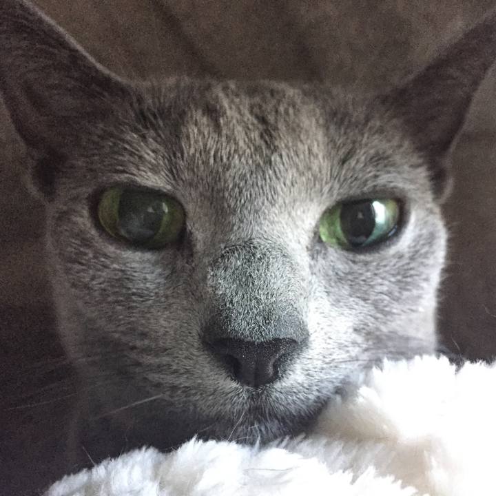 B7c3e7f3 8152 49ca a7c8 939c6290555d 1513121468675