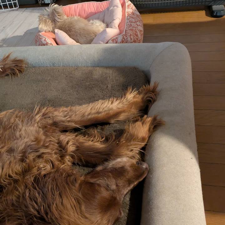 B7c42762 5cef 4b13 b1b7 311b36216e75 1777337394104