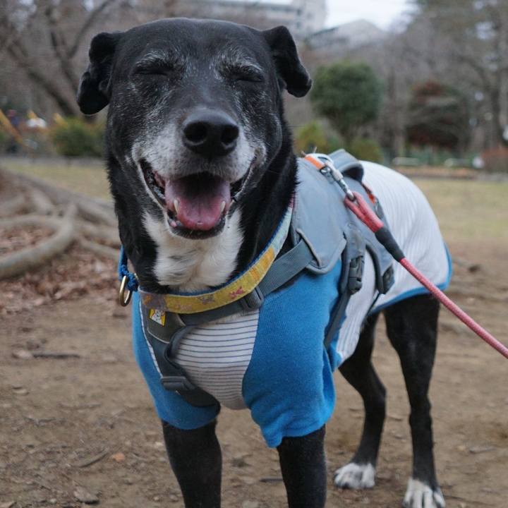 B7c427b0 e0ec 4222 a9cd 90b1aa0c791a 1768955159263