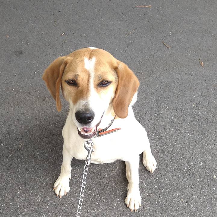 B7c4429d 6bf2 4c0d afe8 5d7b777331cb 1626789057254