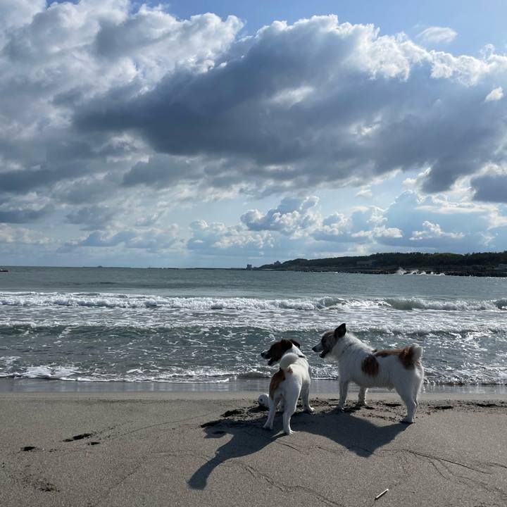 B7c46f3b 97e9 4ab6 af94 8de10dc70587 1682984388096