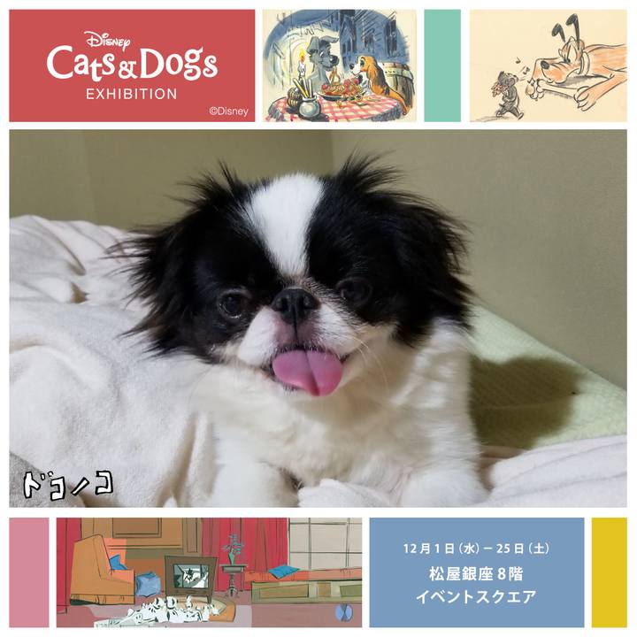 B7c47283 86f5 43e5 a557 2b53787d3bb2 1638363083800