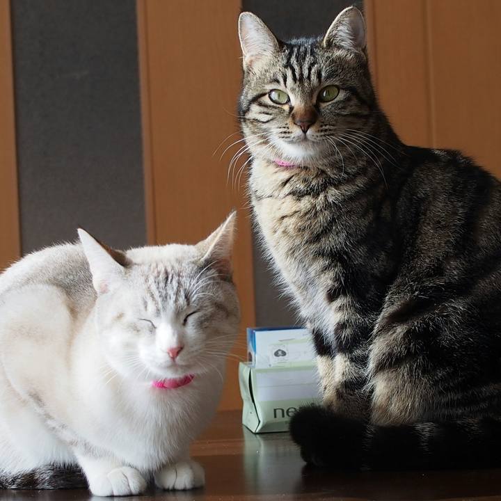 B7c49258 597f 4b39 9402 39c599539a8b 1517197892546