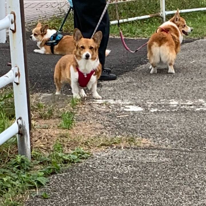 B7c4d221 2b78 4d71 a223 b5e20a118693 1699582113425