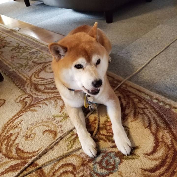 B7c4d565 7c04 42d6 8d6c 918d8a485437 1574988742414