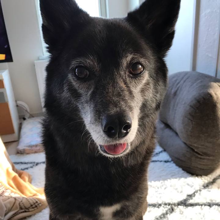 B7c4e920 be44 4dff 917d c1f12cf1c700 1582106697594