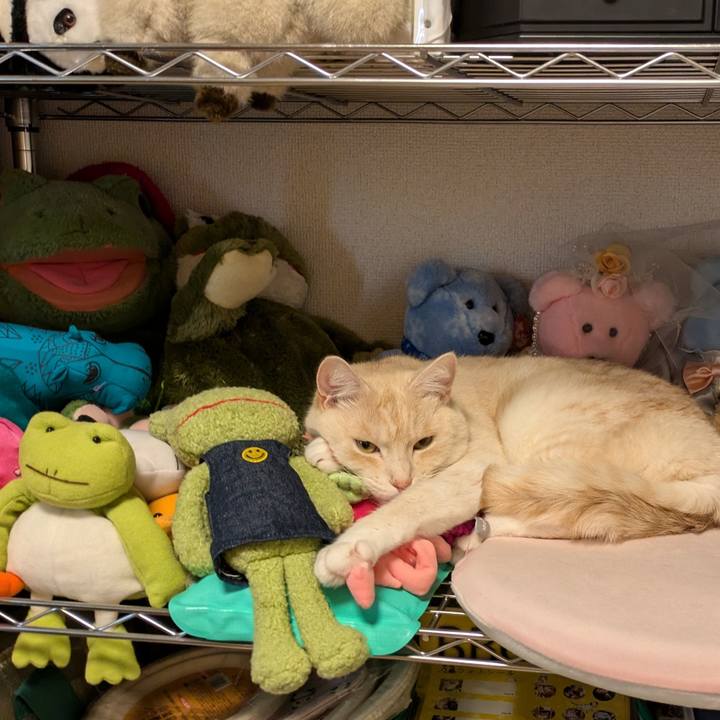 B7c4fa46 3723 4524 9fed 65fed1613fd2 1718963151772