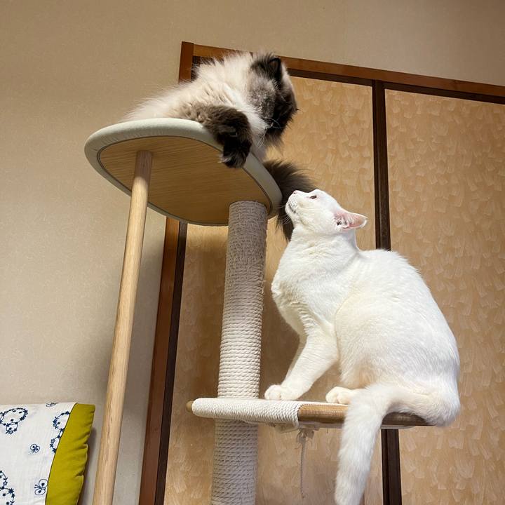 B7c53d2e 3480 4ec1 a383 d5d10eb648e7 1714661249135