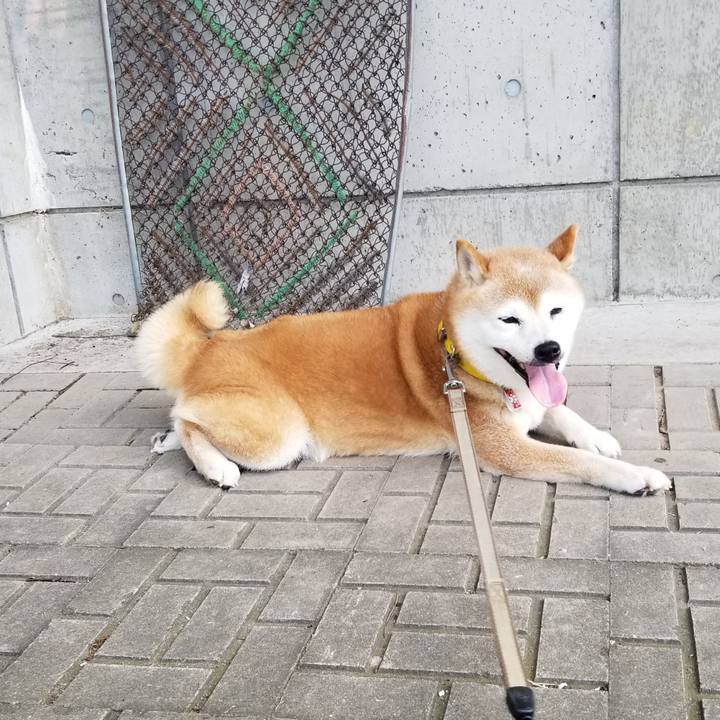 B7c56fb8 888d 48c3 a9ed a39eb05c08d6 1691999721925