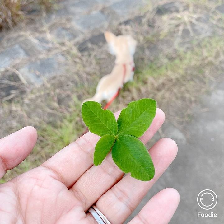 B7c59474 971b 4162 907b bb8b8f9a4915 1603262213613