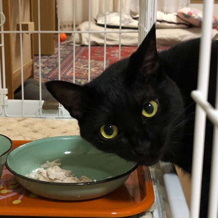 B7c64e19 e6ed 44dc a448 6fc87cdbfae1 1534415704324