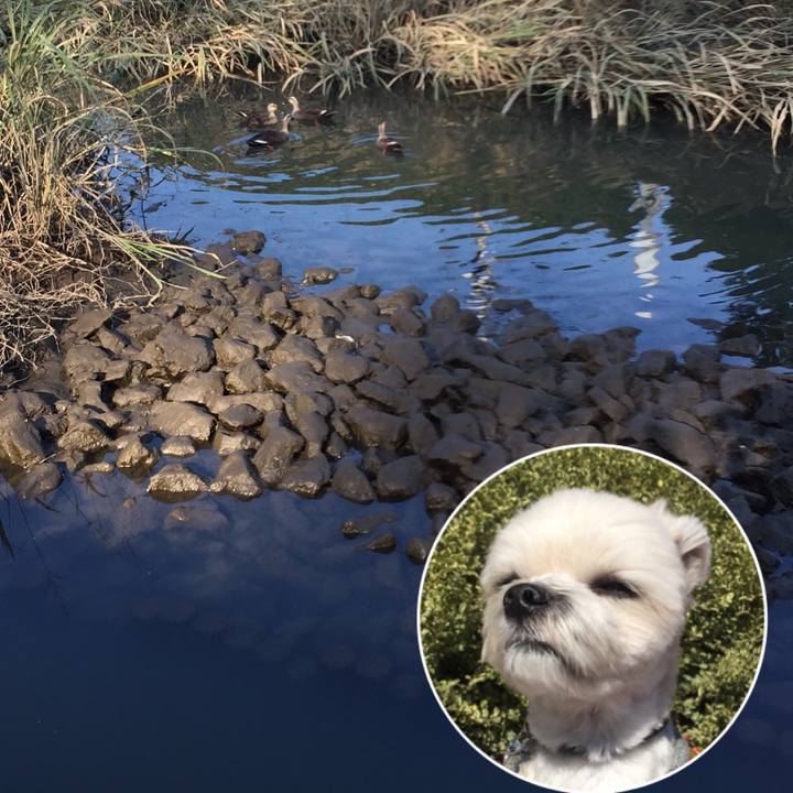 B7c660f0 cb62 466a 8c30 219b25b5e0c4 1540626615974