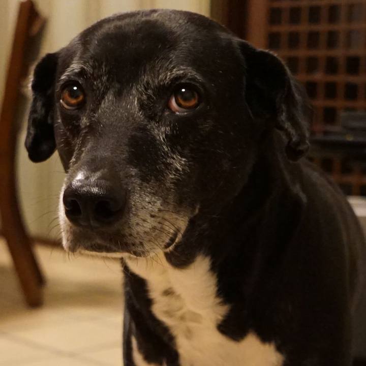 B7c67d6b 94e3 4f54 af16 4edc17eb973e 1766920556822