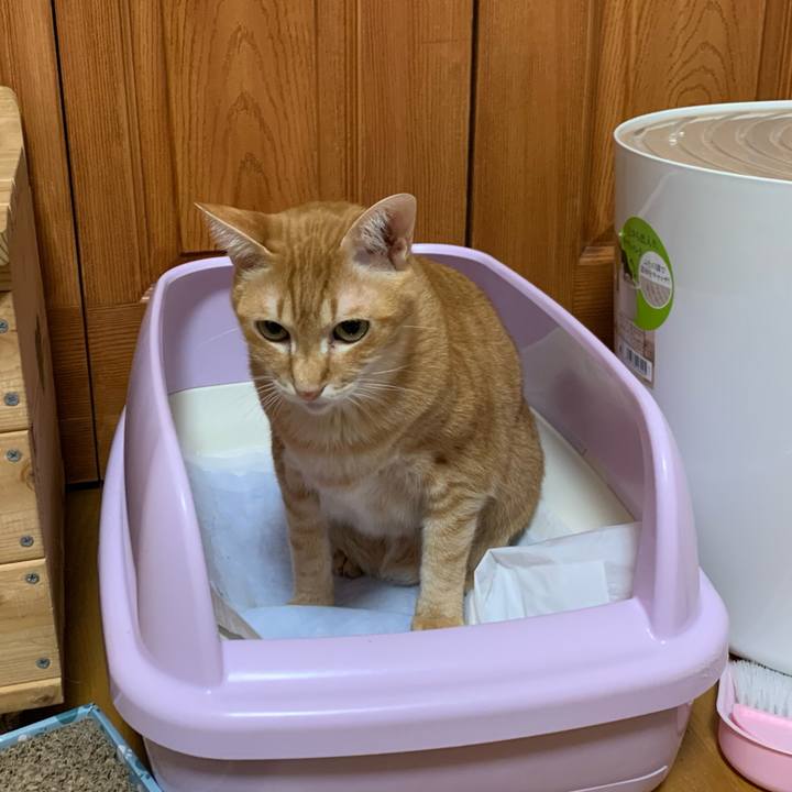 B7c67f75 64ac 4c90 98dc 83e7df31a178 1577657941143