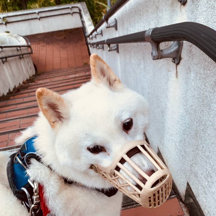 B7c68bd7 050f 45bb 9466 e205ed378702 1631135363470