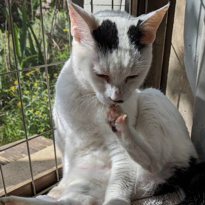 B7c69bee 168c 4ecc bf2c a87fa8f4162e 1715947864910