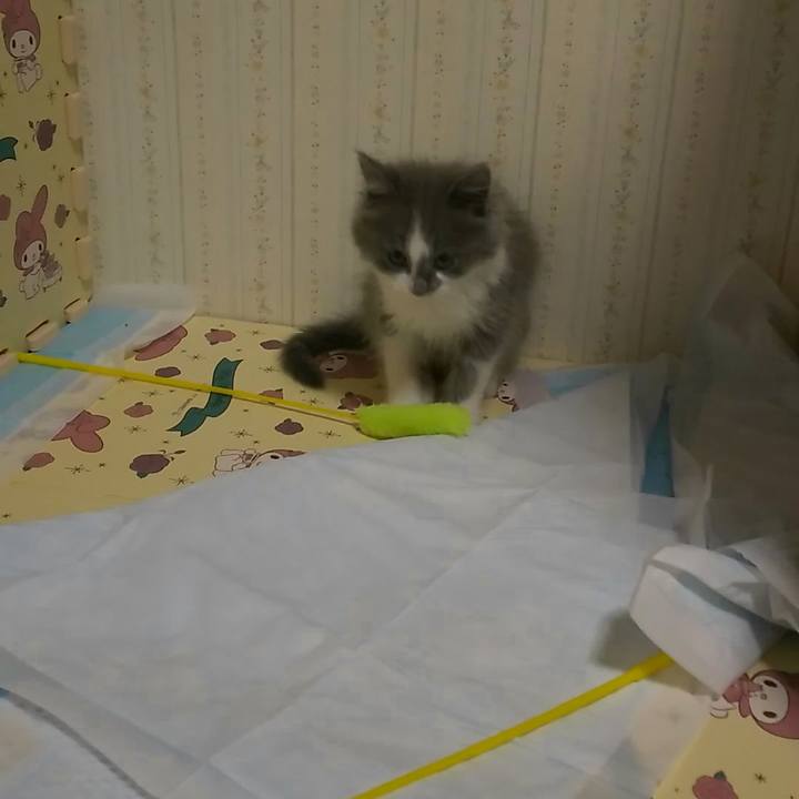 B7c6a520 d817 4e71 8732 6ae8faf620e5 1560295661973