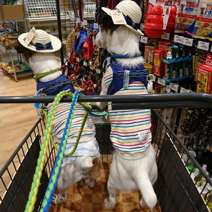 B7c713a0 6959 46e5 ac62 0ac483797ae1 1562149945687