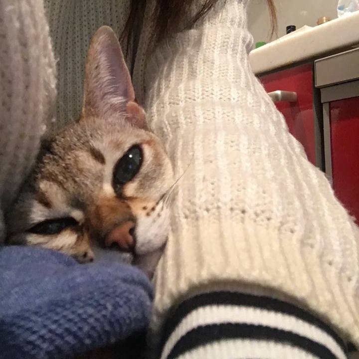 B7c72063 f433 459e abcf 7816a6a3b968 1515240132453