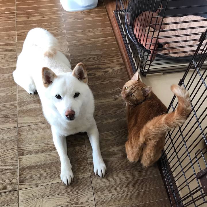 B7c754dc 1b33 4703 b12f 90a95ca05fd9 1560209935882