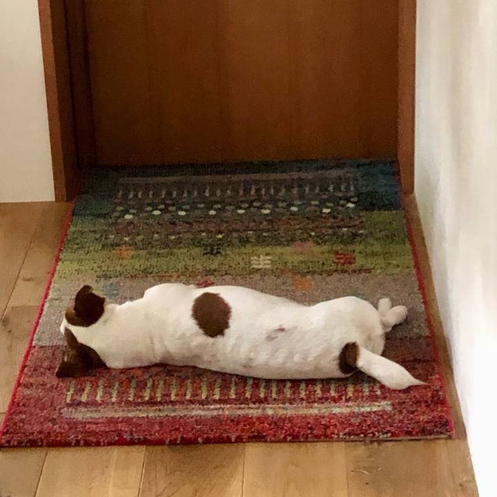 B7c78de0 0d10 4d11 9f74 d584a9cb887e 1723869483411