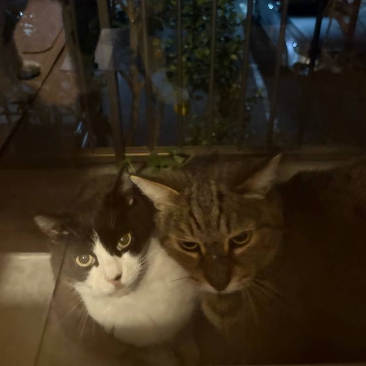 B7c7a609 f864 4d42 9b69 2946de2529a7 1765194528563