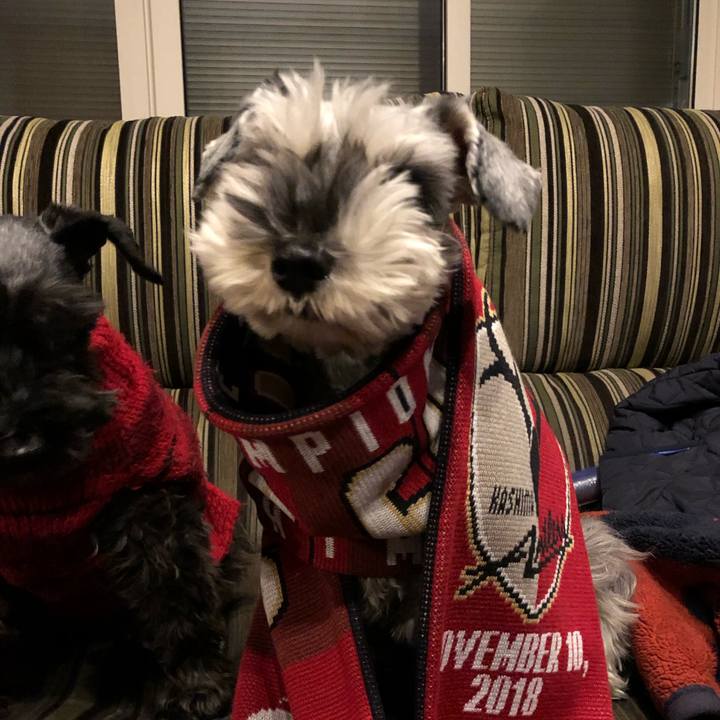 B7c7db04 d0e1 4e09 93d1 632d4c2ce592 1549118391715