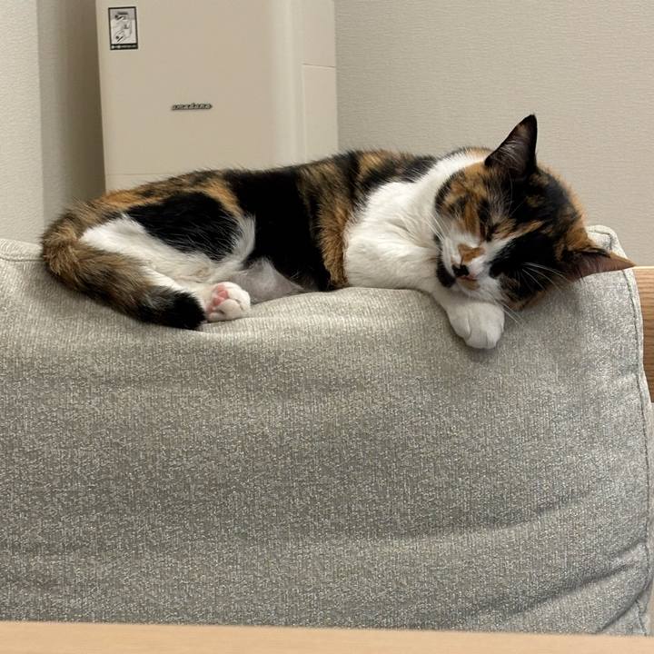 B7c7db0d 9c87 4476 92cc 94a96890bac3 1774780697091