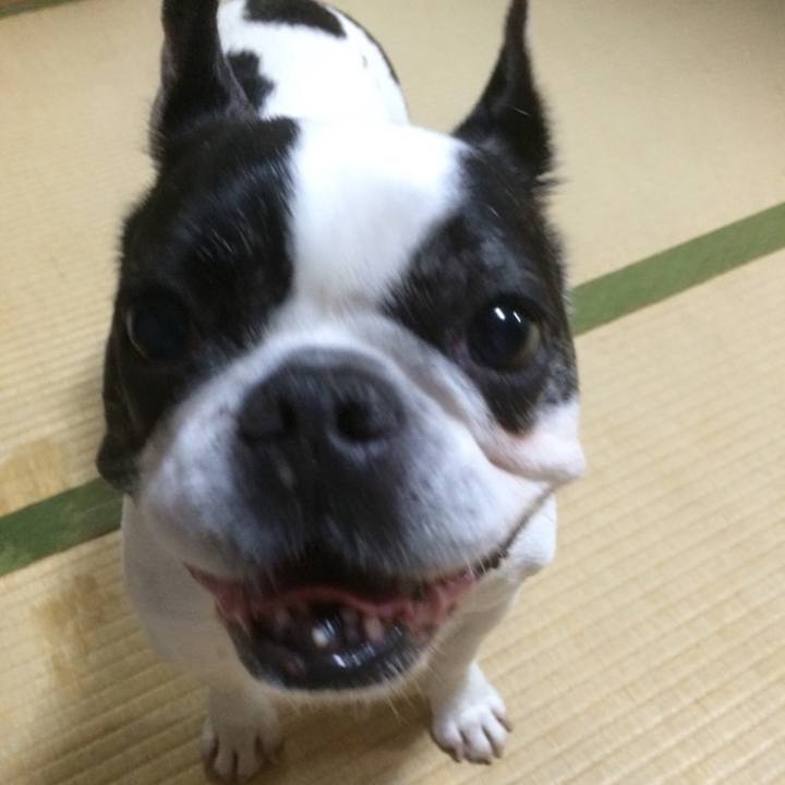 B7c7eb47 55de 47ca 8ba3 db97f52cb843 1636302509761