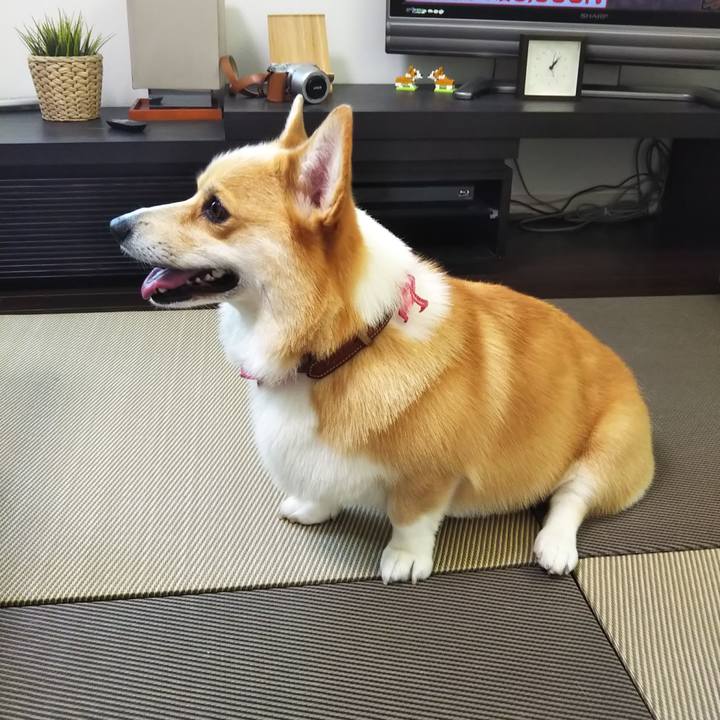 B7c7f8c6 8422 4007 add0 a92bef3d56af 1564817153183