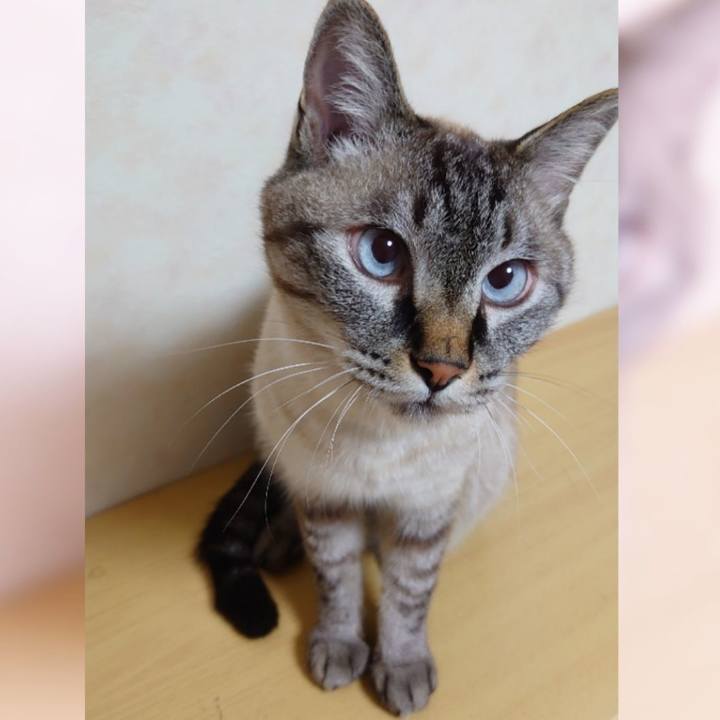 B7c808d0 654f 43fc 8059 e0582f5dd0d2 1658588625553