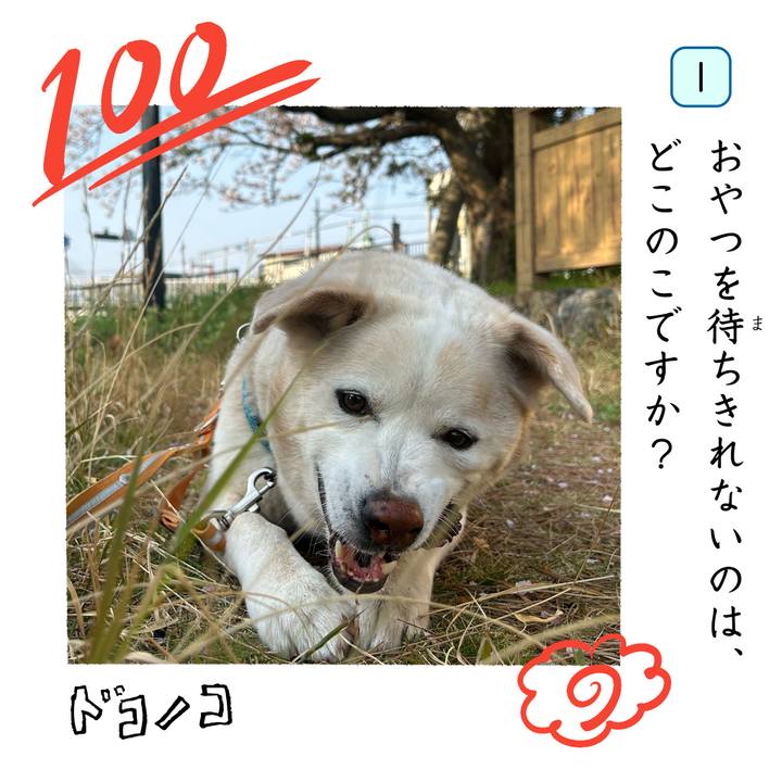 B7c815ab 036e 4de5 a9c9 fae90ebde702 1744329675218