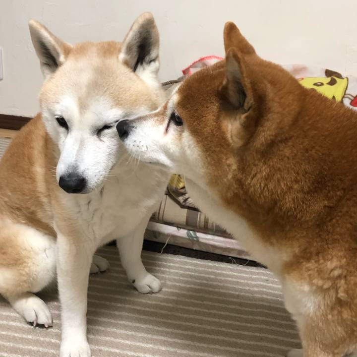 B7c8280e 8296 45df 87b6 cf839cc85f5d 1550184837686