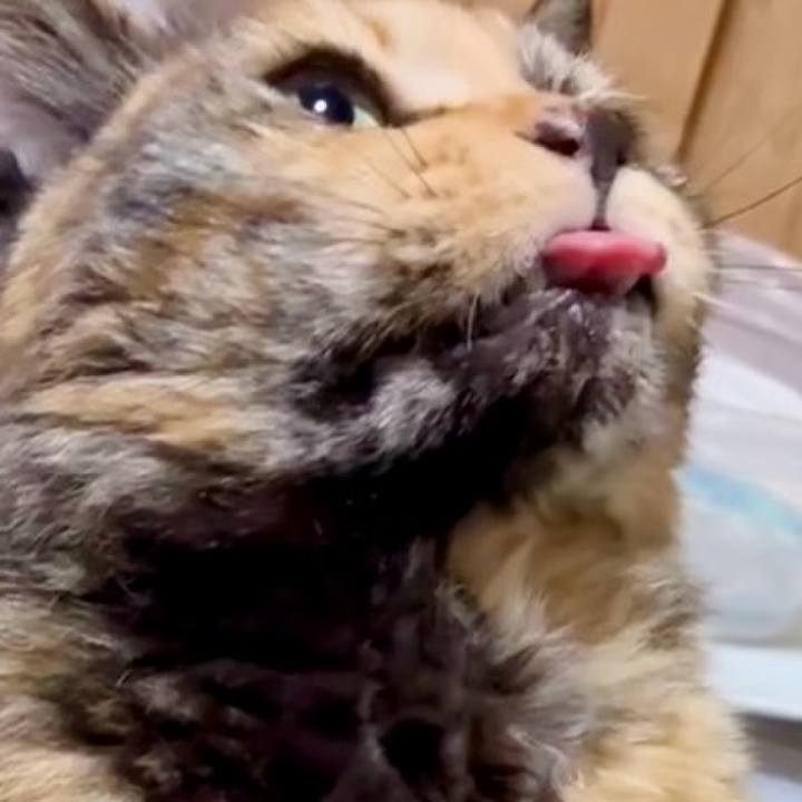 B7c86a66 dd5d 45b3 b8fb da2295ecaa01 1746523939629