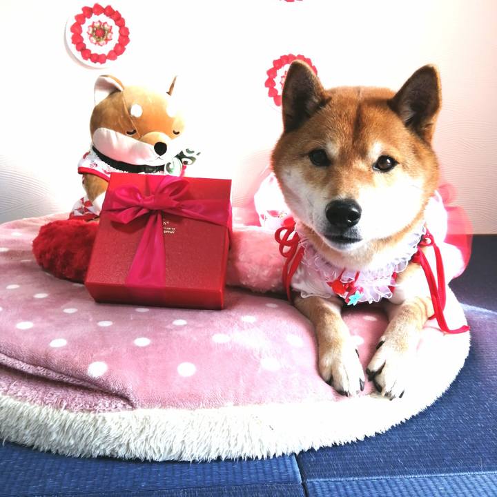 B7c89e03 8c06 40b6 8606 0920dddb3702 1581643901412