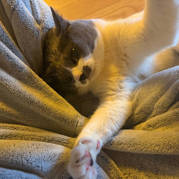 B7c8c68e 3323 4b0b a4da 2052b0b0cd3f 1775268591216