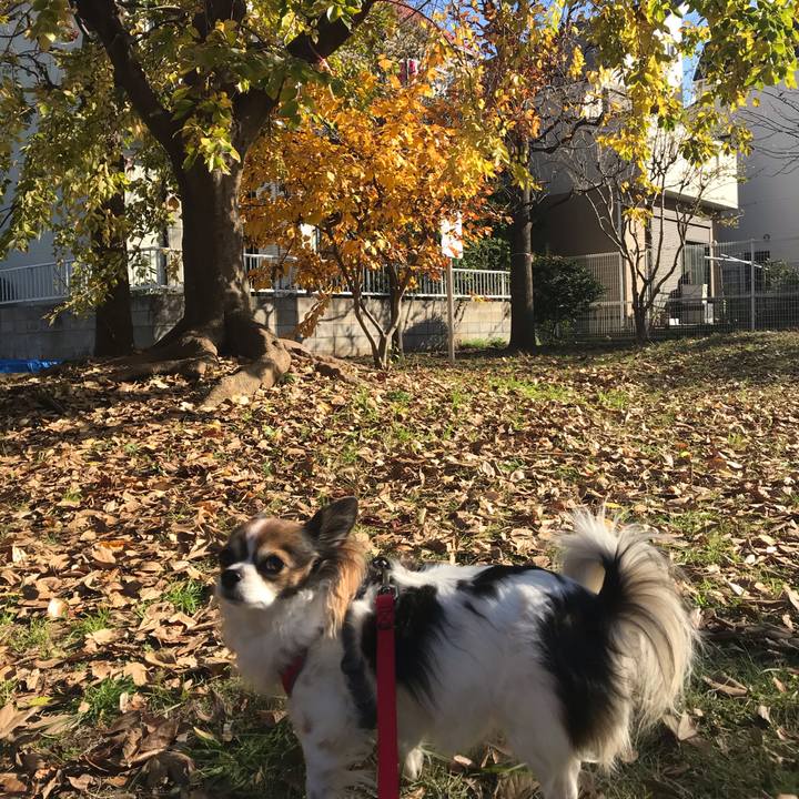 B7c92315 9863 48d0 94e8 405a0956e6af 1575511846290