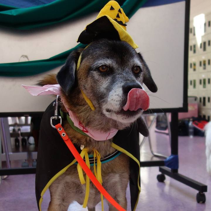 B7c97a0d b4a0 4d9f 8f00 74924aff2a14 1650416649839