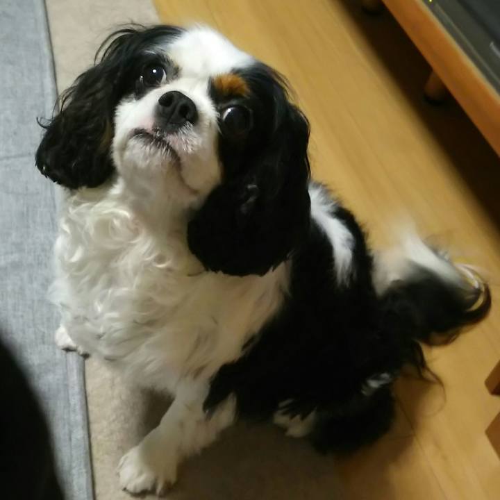 B7c999b1 0ece 4896 a2f9 beaa15efb3bb 1531918538221