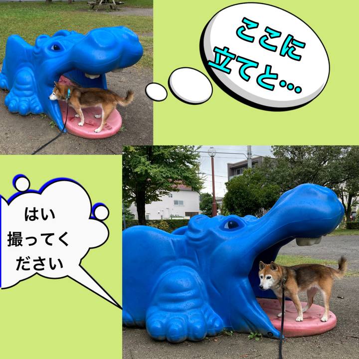 B7c9b84f 9d9c 4ef1 8745 e990d6ab8417 1759295804268