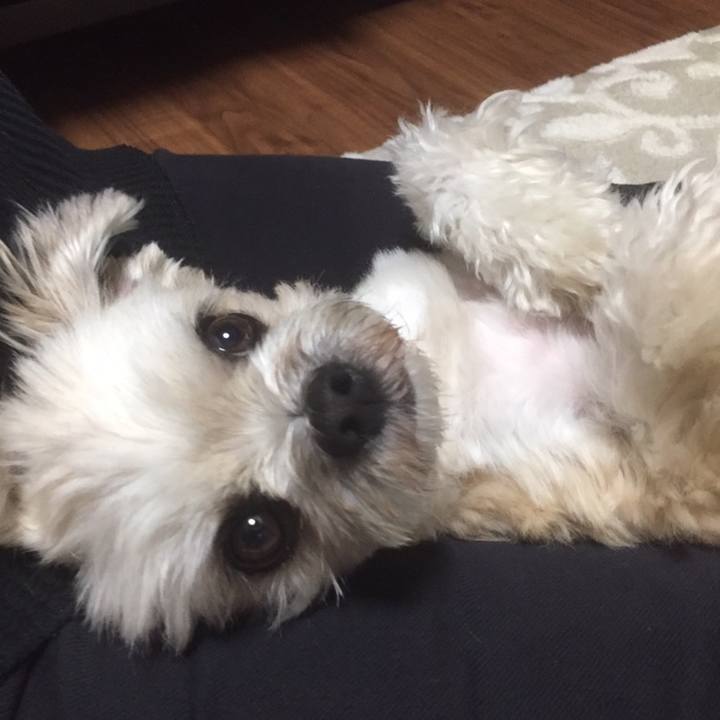 B7c9e5e0 c269 4ad3 b8b1 acc44cc59bd9 1558524692646