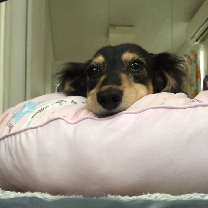 B7ca17e0 b894 40fa b2e1 897799d1c285 1536279723258