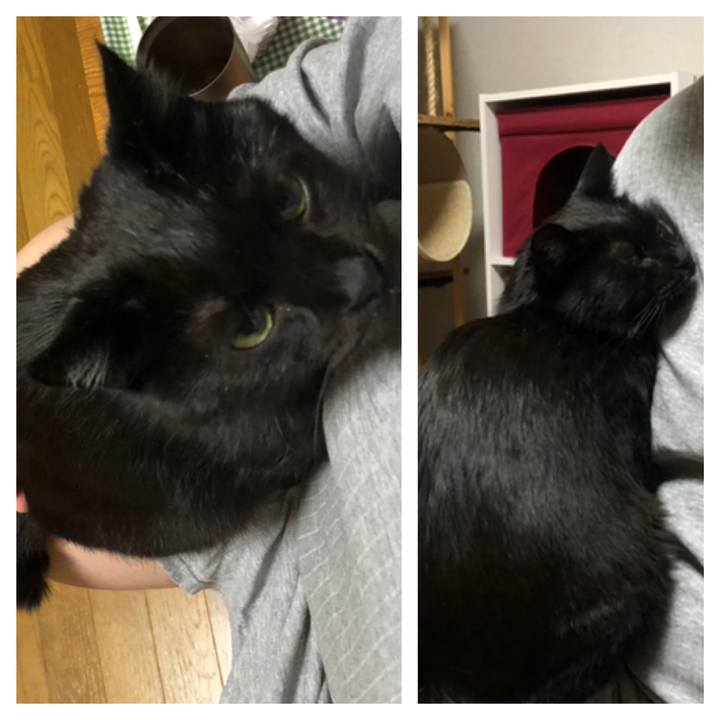 B7ca1cf5 78a8 4626 a4f5 933dac7e9e91 1588287243965