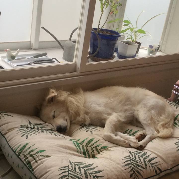 B7ca43b1 1162 4b52 ab3b 3b63413fd572 1508555981744