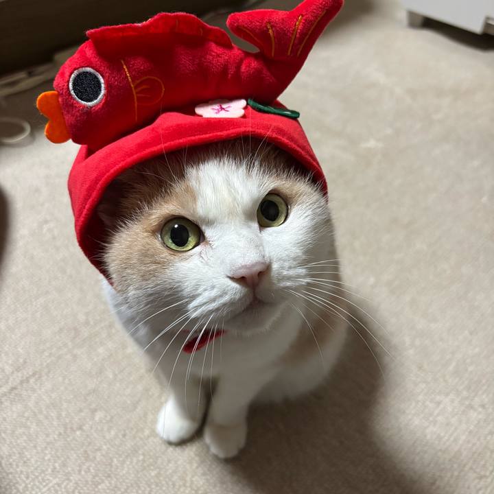 B7ca6b27 ad03 43c0 9f8e 080be87f3fbb 1767267023006