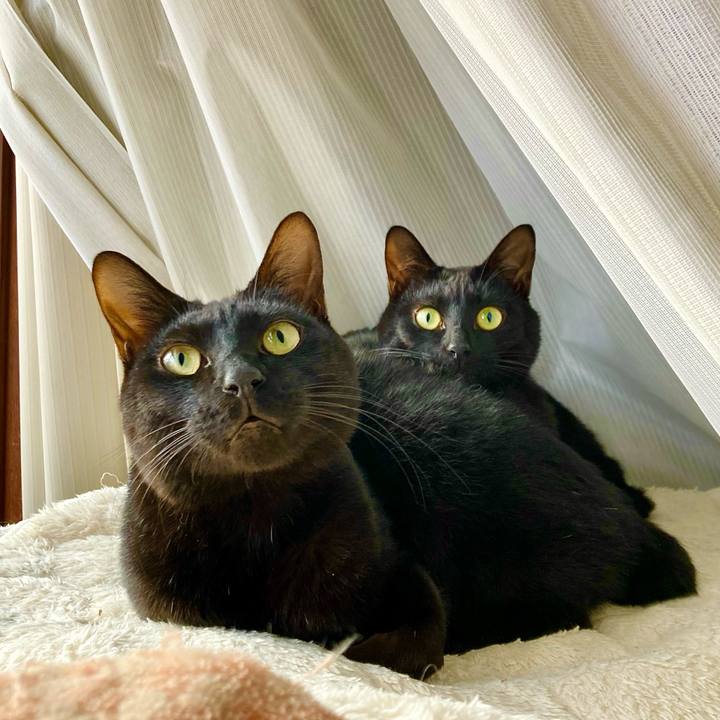 B7ca77ec 9bc3 4d92 92eb c8a63e1b6ac1 1673936499734