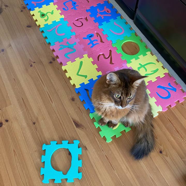 B7ca9b98 5268 4971 aaa4 009a8e3a6cdd 1634705293168